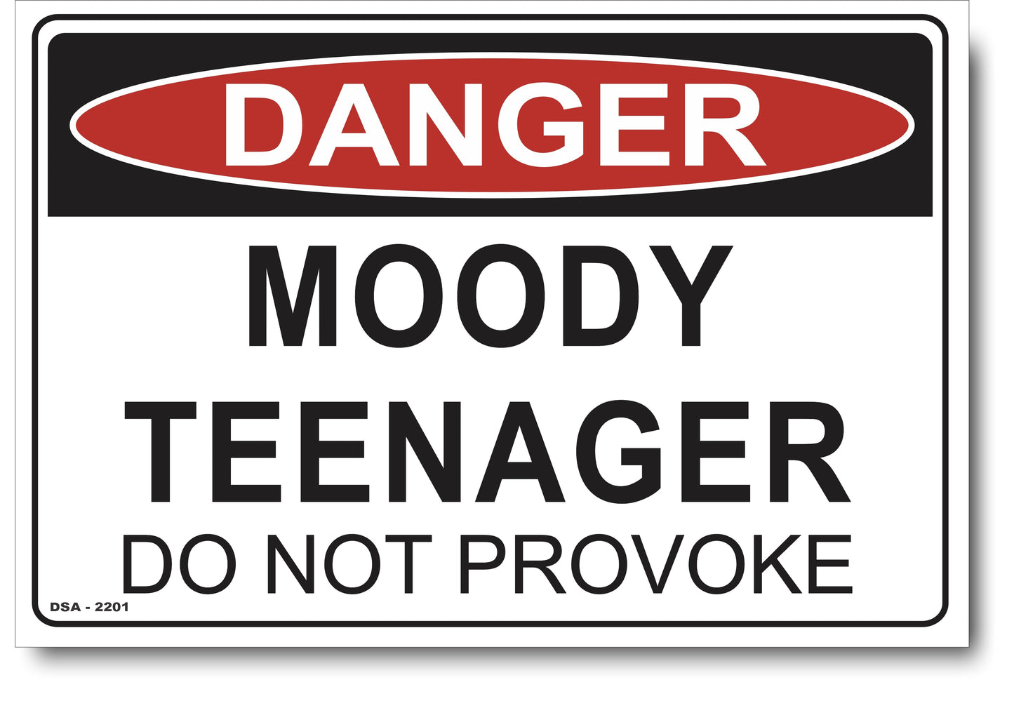Danger - Moody Teenager - Do Not Provoke Sign