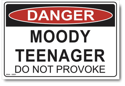 Danger - Moody Teenager - Do Not Provoke Sign